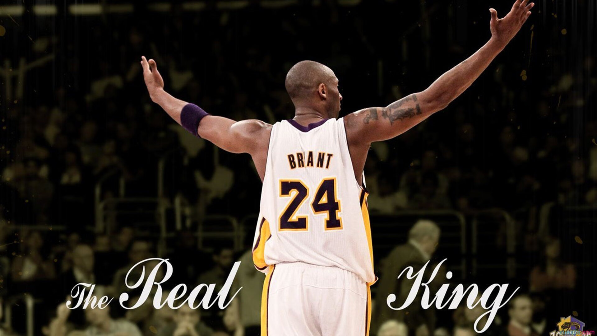 NBA常规赛爆冷 黑马球队终结连胜纪录